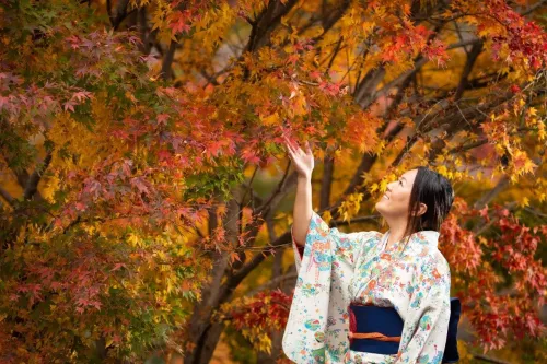 Туры в Японию - ПР27<br/>Токио: вчера и сегодня. 2 экскурсии. Заезды на 8дн/7н, без а/б 