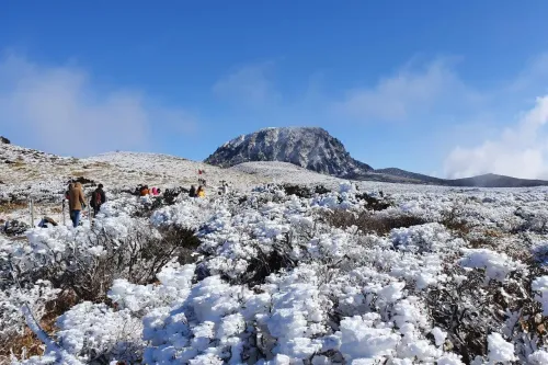 Туры в Корею Южную - ПР5<br/>НОВОГОДНИЙ КАЛЕЙДОСКОП Сеул - Пусан - Кенджу - Сеул. Заезд 30.12 на 6 ночей, без а/б