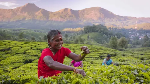 Туры в Индию - ПР113<br/>По стопам Будды (Корабль MV Ganga Vilas). Заезд 10.12.2025 на 11 ночей, без а/б 