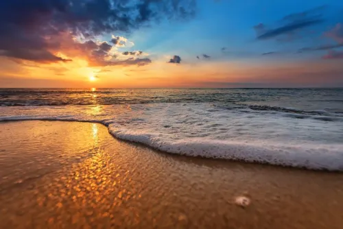 Туры в Мальдивы - СП9<br/>Специальное предложение от Canareef Resort Maldives 4*. Вылеты на 7-14н., без а/б