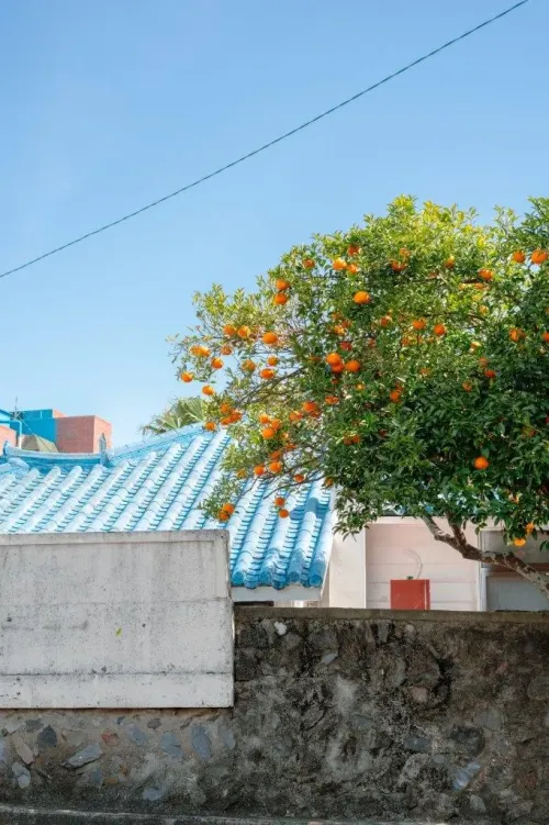 Туры в Корею Южную - ПР20<br/>Мини группы. Динамичный Сеул. Заезды по воскресеньям на 3/5/7/9 ночей, без а/б