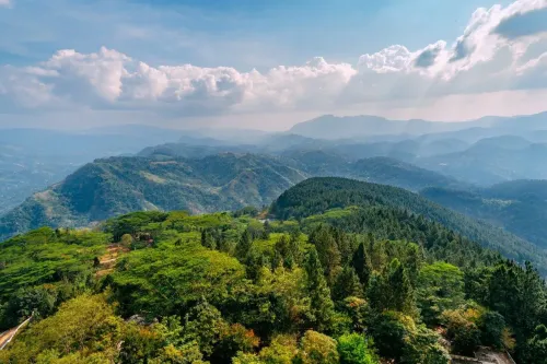 Туры в Шри-Ланку - ПР8<br/>Жемчужины Шри-Ланки (6н, ноябрь - апрель). Заезды по пятницам и воскресеньям на 7дн/6н, без а/б 