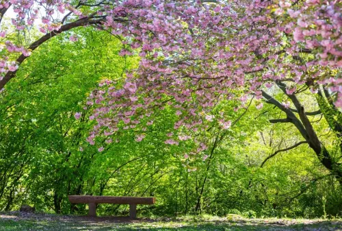 Туры в Корею Южную - ПР31<br/>Три Столицы ( Сеул - Пусан - Кенджу ). Заезд 25.04 на 5/7 ночей, без а/б