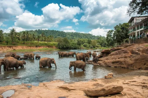 Туры в Шри-Ланку - ПР16<br/>Магия Шри-Ланки (5н) + отдых на побережье (Бентота, Унаватуна и др., 4/5/6/7/8/9н). Заезды по средам на 9-14 ночей, без а/б 