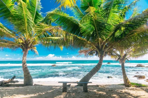 Туры в Шри-Ланку - ПР16<br/>Магия Шри-Ланки (5н) + отдых на побережье (Бентота, Унаватуна и др., 4/5/6/7/8/9н). Заезды по средам на 9-14 ночей, без а/б 