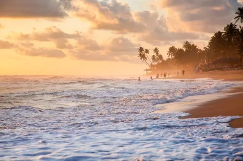 Туры в Шри-Ланку - ПР19<br/>Наследие Шри-Ланки (4н) + отдых на побережье (Бентота, Унаватуна и др., 5/6/7/8/9/10н). Заезды ежедневно на 9-14 ночей, без а/б 