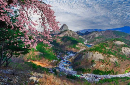 Туры в Корею Южную - ПР45<br/>В царство лотосов. Есть женское подселение! Заезд 05.08 на 7 ночей, без а/б