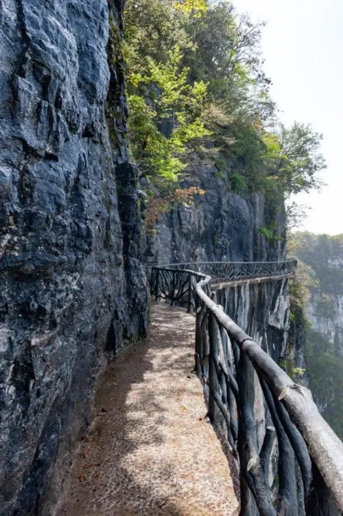 Туры в Китай - ПР166<br/>Чэнду - Чжанцзяцзе, горы Аватар. Цена с билетом! Вылет 11.03 на 8дн/6н, а/к Sichuan Airlines