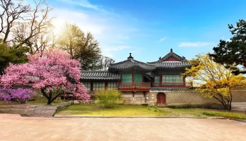 Туры в Корею Южную - ПР51<br/>Там, где цветёт поздняя вишня. Заезд 13.04 на 7 ночей, без а/б