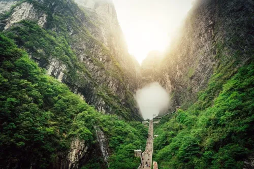 Туры в Китай - ПР160<br/>Чунцин, панды и горы Аватар. Цена с билетом! Вылет 16.12 на 8дн/6н, а/к Tianjin Airlines