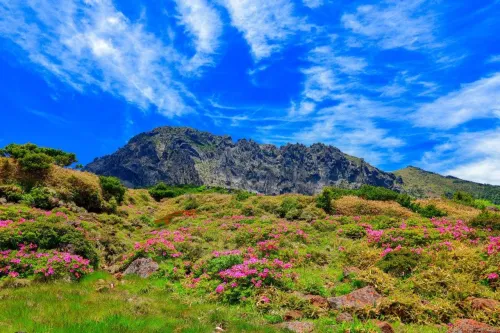Туры в Корею Южную - ПР12<br/>«День рождения Будды- Аромат мандариновых цветов Чеджу - Пусан- Кенджу- Сеул». Групповой тур. Заезд 23.05.26 на 7 ночей, без а/б