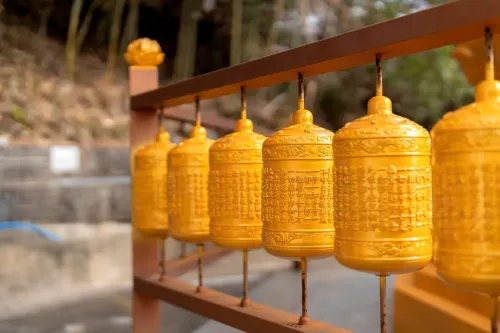 Туры в Корею Южную - ПР81<br/>Осенние листья и сбор мандринов! Сеул - о. Чеджу - Кенджу - Пусан. Заезд 24.10 на 8 ночей, без а/б