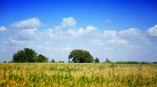 Туры в Россия (Москва, Подмосковье) - Путь к истокам: от кремля до медового пира (Ростов Великий – Ростовский кремль – Медоварня с дегустацией медовых напитков) автобусная (14 часов) 28.03, 18.04, 10.10, 31.10, 14.11, 12.12
