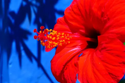 Туры в Марокко - СП25<br/>Сказки Древнего Магриба и дыхание пустыни. Вылет 15.04.26 на 6н, а/к Royal Air Maroc