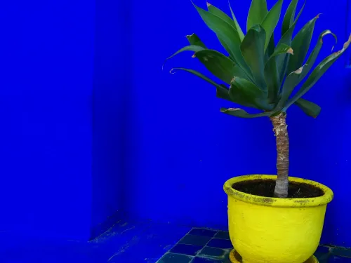 Туры в Марокко - СП47<br/>Сокровища Магриба и Голубой город: Отели 4* + отдых в Агадире. Вылет 04.09.26 на 11н, а/к Royal Air Maroc