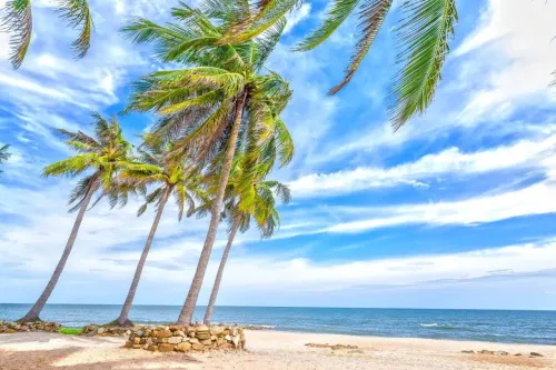 Туры в Вьетнам - ПР49<br/>Отдых Дананг/Хой Ан . Под рейсы Vietnam Airlines ! Заезды по вт, чт, сб с 20.05.26 по 15.10.26 на 10,11,13,15,16,18н с подбором а/б